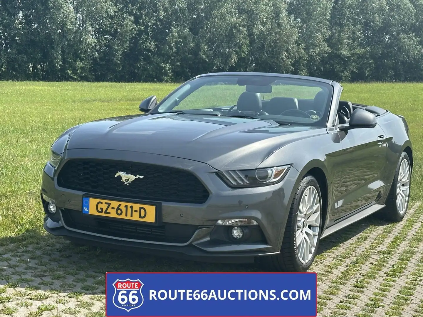 Ford Mustang Cabriolet | Route 66 Auctions Grijs - 2
