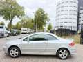 Peugeot 307 CC 2.0-16V Grijs - thumbnail 8