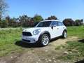 MINI One Countryman Mini Countryman R60 1.6 Bianco - thumbnail 1