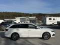 Skoda Octavia Combi 2,0 TDI Ambition DSG  *Matrix-LED / SUNSE... Weiß - thumbnail 6