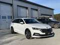 Skoda Octavia Combi 2,0 TDI Ambition DSG  *Matrix-LED / SUNSE... Weiß - thumbnail 5