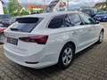 Skoda Octavia Combi 2.0 TDI First Edition AHK Navi ACC LED Kamer Weiß - thumbnail 6