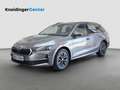 Skoda Octavia Selection TDI DSG Grau - thumbnail 1