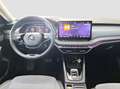 Skoda Octavia Selection TDI DSG Grau - thumbnail 8