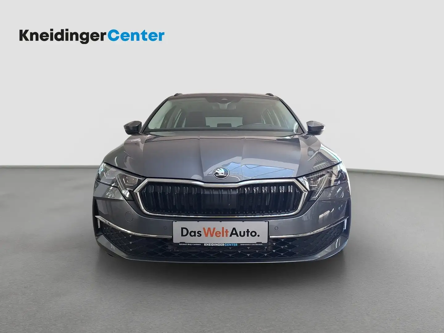 Skoda Octavia Selection TDI DSG Gris - 2