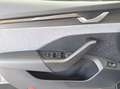 Skoda Octavia Selection TDI DSG Grau - thumbnail 13