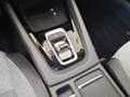 Skoda Octavia Selection TDI DSG Grau - thumbnail 12