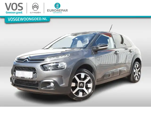 Citroen C4 Cactus PureTech 110 Shine Keyless | Navi | Panorama dak |