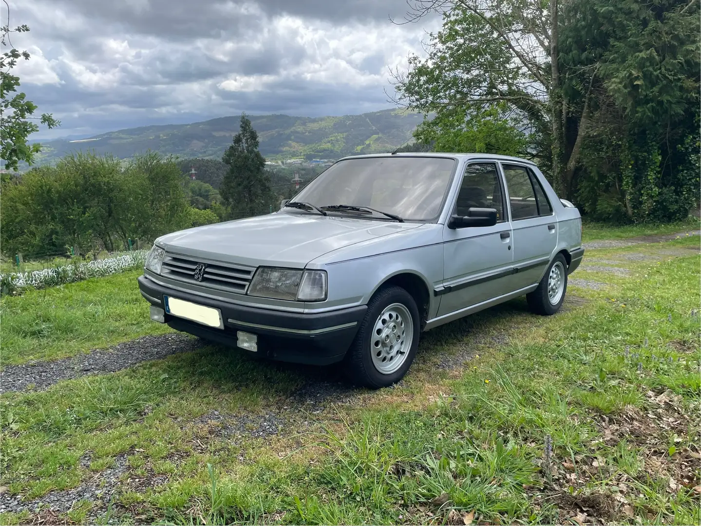 Peugeot 309 1.9 GT Gri - 1