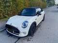 MINI Cooper Cabrio Mini Cooper Cabrio Aut. - thumbnail 4