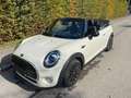MINI Cooper Cabrio Mini Cooper Cabrio Aut. - thumbnail 1