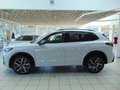 Volkswagen Tiguan R-Line Black Style 2.0 TDI DSG IQ-Light Weiß - thumbnail 15