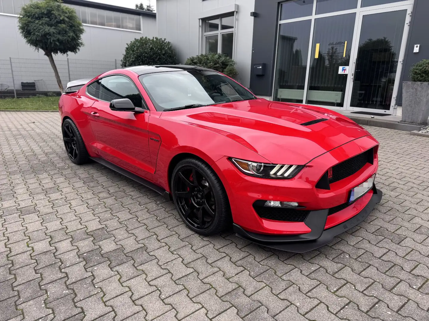 Ford Mustang Shelby GT350R Carbon-Felgen Rouge - 1