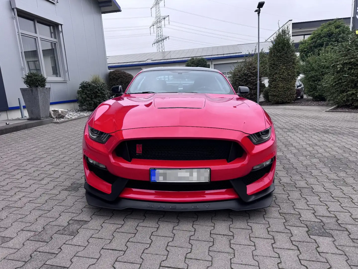 Ford Mustang Shelby GT350R Carbon-Felgen Rouge - 2