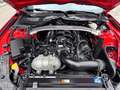 Ford Mustang Shelby GT350R Carbon-Felgen Rouge - thumbnail 21