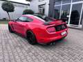 Ford Mustang Shelby GT350R Carbon-Felgen Rouge - thumbnail 5