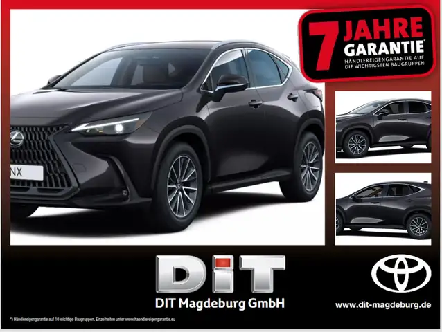 Lexus NX 450h+ Executive Line Techno. + Interieur-Paket