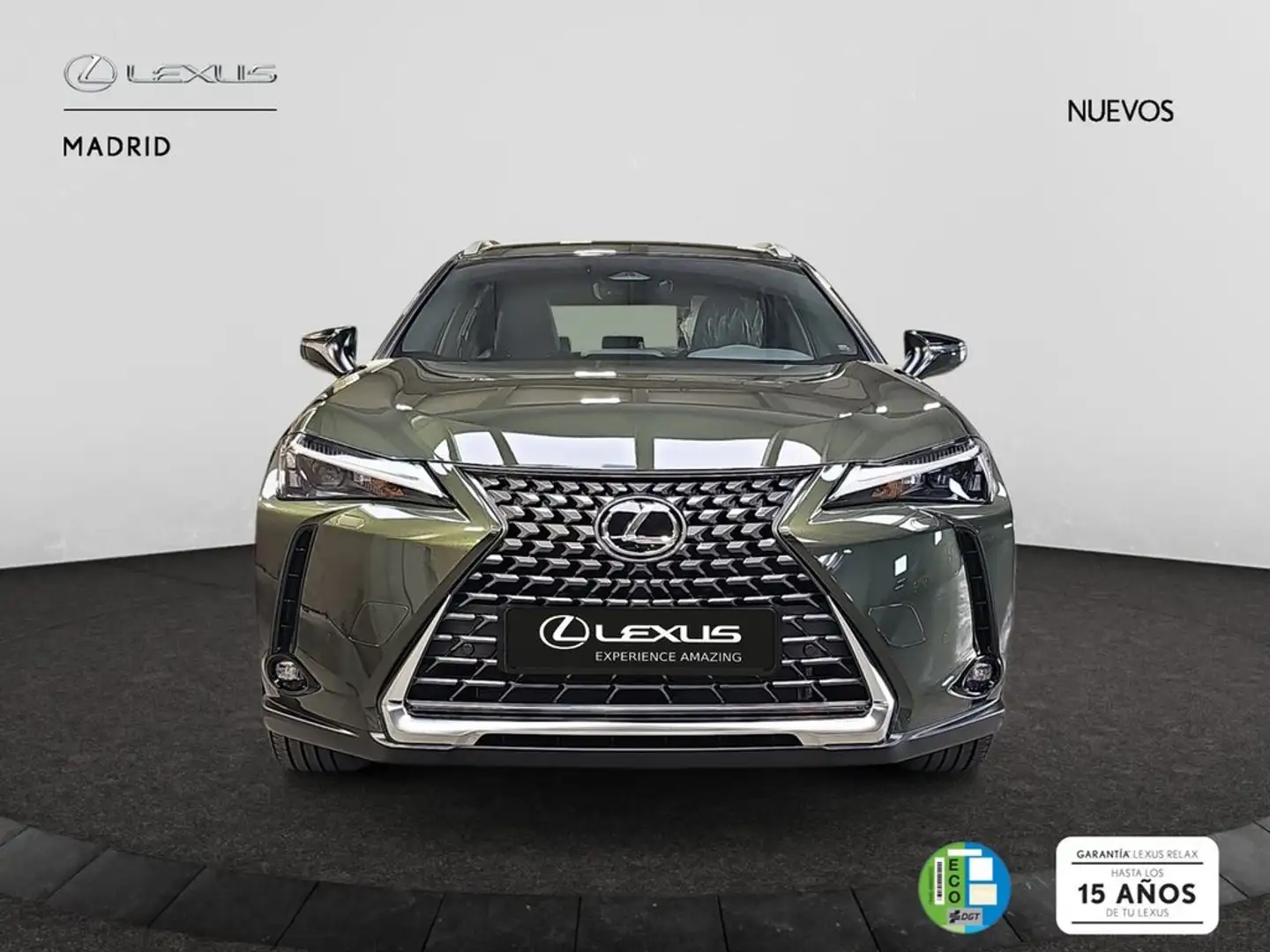 Lexus UX 300h 2.0  Plus Verde - 1