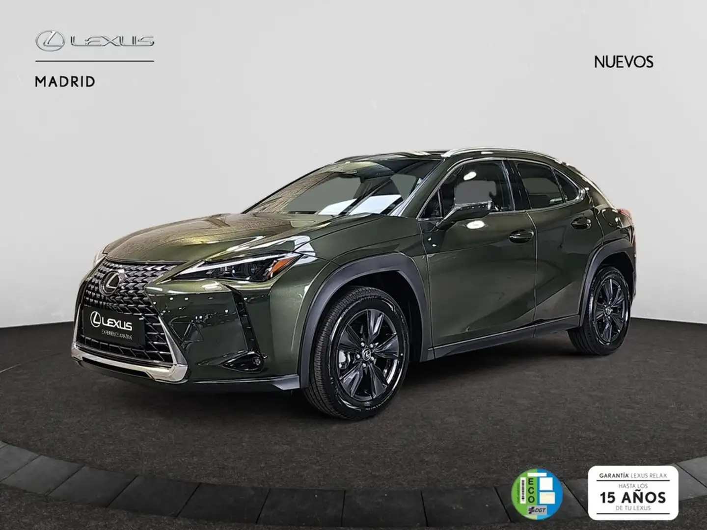 Lexus UX 300h 2.0  Plus Verde - 2