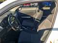 Suzuki Vitara Vitara 1.6 VVT V-Cool Bianco - thumbnail 6
