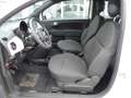 Fiat 500 1.0 GSE Hybrid Klima CarPlay - ab 16 Jahre Weiß - thumbnail 12
