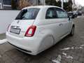 Fiat 500 1.0 GSE Hybrid Klima CarPlay - ab 16 Jahre Weiß - thumbnail 19