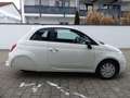 Fiat 500 1.0 GSE Hybrid Klima CarPlay - ab 16 Jahre Weiß - thumbnail 18