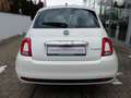 Fiat 500 1.0 GSE Hybrid Klima CarPlay - ab 16 Jahre Weiß - thumbnail 4