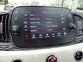 Fiat 500 1.0 GSE Hybrid Klima CarPlay - ab 16 Jahre Weiß - thumbnail 16