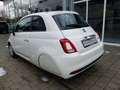 Fiat 500 1.0 GSE Hybrid Klima CarPlay - ab 16 Jahre Weiß - thumbnail 2