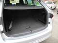 Skoda Octavia Premium DSG Grau - thumbnail 7