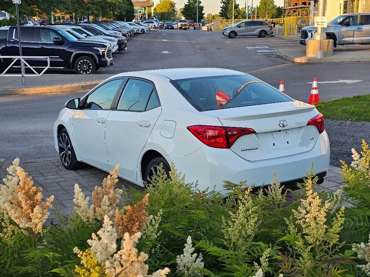 Toyota Corolla photo Toyota Corolla