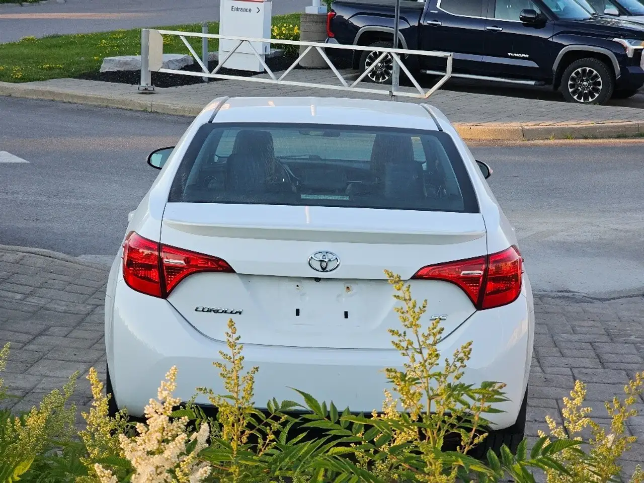 Toyota Corolla photo Toyota Corolla