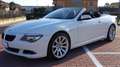 BMW 635 Serie 6 E64 Cabrio 635d Cabrio auto Wit - thumbnail 1