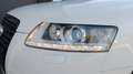 Audi A6 Black Edition S-line 3.0 V6 TDI Quattro Tiptronic Bianco - thumbnail 6