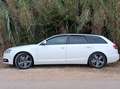 Audi A6 Black Edition S-line 3.0 V6 TDI Quattro Tiptronic Bianco - thumbnail 1