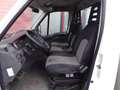 Iveco Daily 35C15 375 3 zits 425 x 218 x 40 open laadbak Wit - thumbnail 12