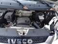 Iveco Daily 35C15 375 3 zits 425 x 218 x 40 open laadbak Wit - thumbnail 11
