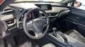 Lexus UX 250h Business 2WD Naranja - thumbnail 9