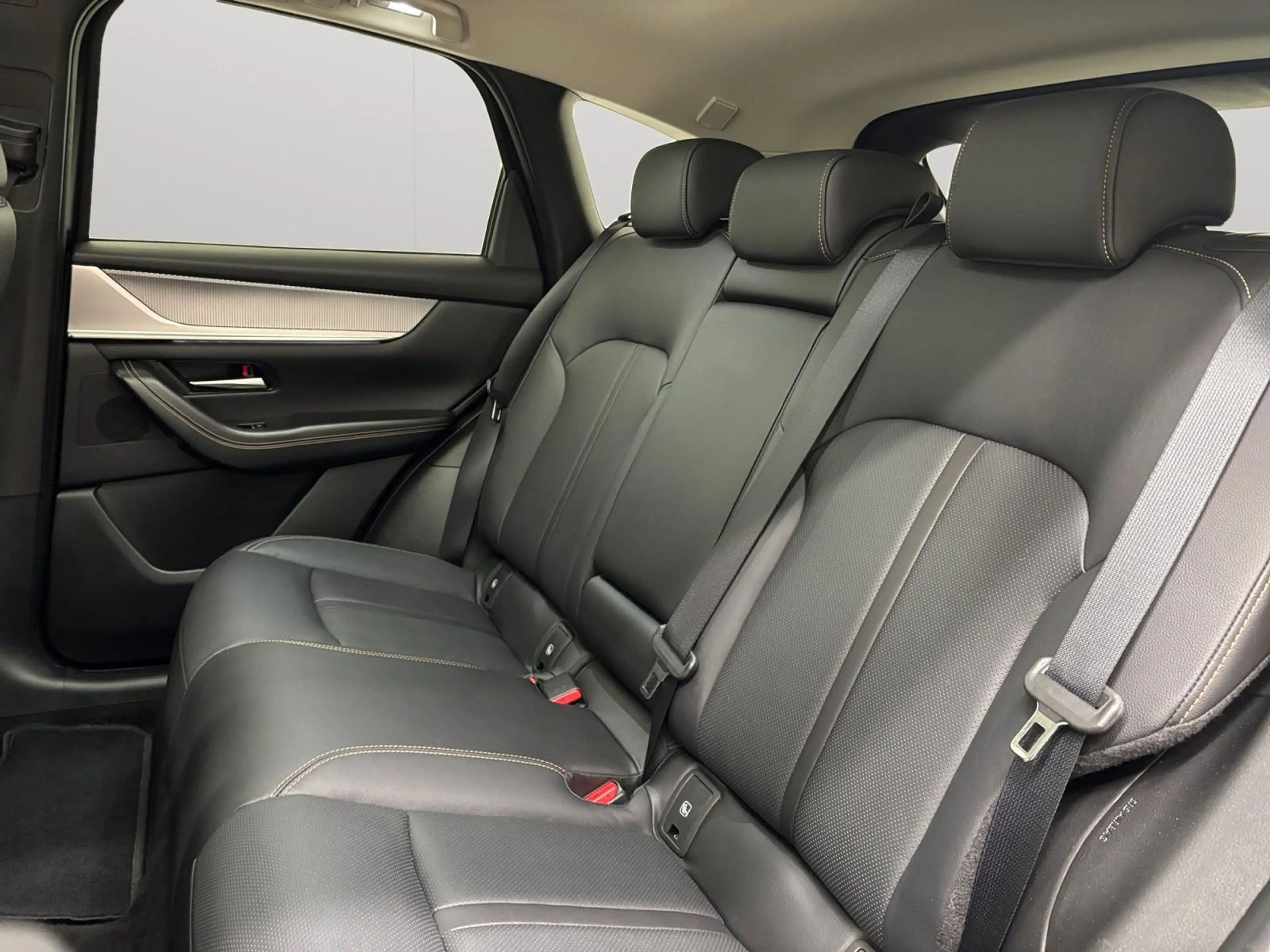 Mazda CX-60 2.5PHEV i-ACTIV AWD 8AT Leder GPS 360camera Panodak Bosa — photo 9
