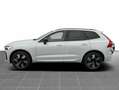Volvo XC60 T6 PLUS DARK HOT DEAL Weiß - thumbnail 5