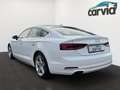 Audi A5 40 TDIsport | S-line | LED| ACC|VIRTUAL COCKPIT Weiß - thumbnail 5