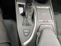 Lexus UX 250h Style Edition ACC FLA ParkAss. SpurW LM - thumbnail 14
