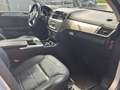 Mercedes-Benz GL 350 Premium AMG motore REVISIONATO_7POSTI Argent - thumbnail 7