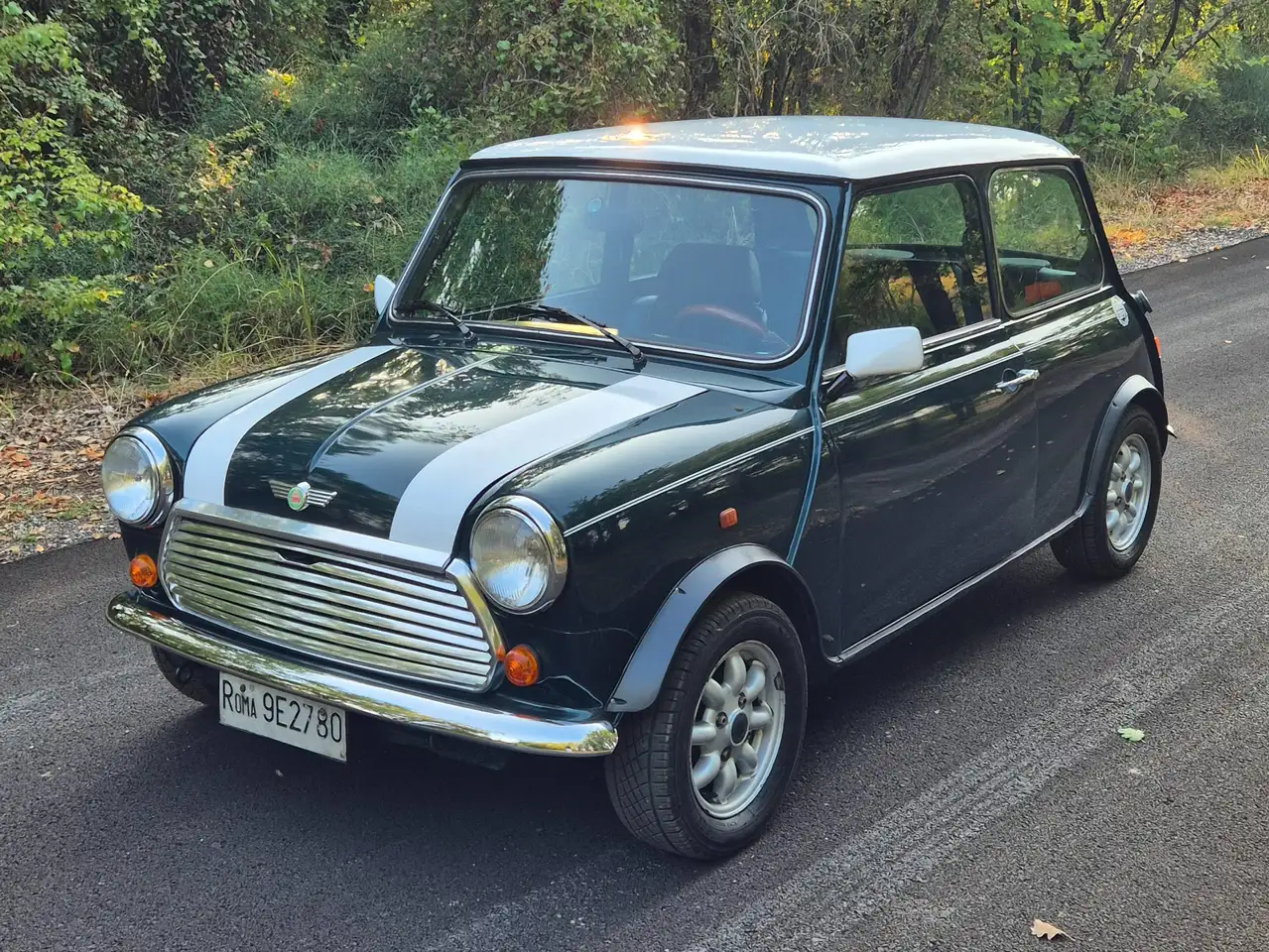 Rover Mini