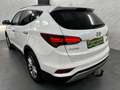 Hyundai SANTA FE Premium 4WD+AHK+Xenon+Leder+Temp+LED Weiß - thumbnail 6