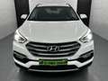 Hyundai SANTA FE Premium 4WD+AHK+Xenon+Leder+Temp+LED Weiß - thumbnail 2
