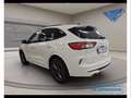 Ford Kuga 2.5 PHEV ST-Line X Blanc - thumbnail 8