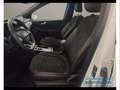 Ford Kuga 2.5 PHEV ST-Line X Blanc - thumbnail 12