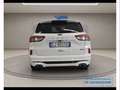 Ford Kuga 2.5 PHEV ST-Line X Blanc - thumbnail 4